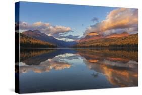 Sunset Light on Autumn Tamarack Trees over Bowman Lake in Glacier National Park, Montana Usa-Chuck Haney-Stretched Canvas