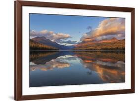 Sunset Light on Autumn Tamarack Trees over Bowman Lake in Glacier National Park, Montana Usa-Chuck Haney-Framed Photographic Print