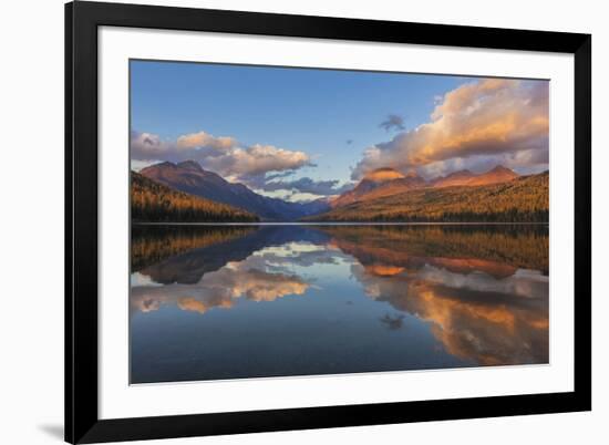 Sunset Light on Autumn Tamarack Trees over Bowman Lake in Glacier National Park, Montana Usa-Chuck Haney-Framed Photographic Print