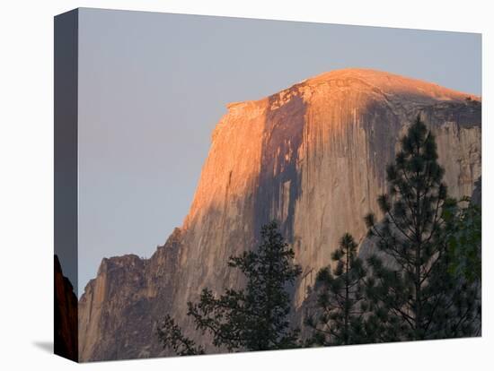 Sunset light on Half Dome. Yosemite National Park, CA-Jamie & Judy Wild-Stretched Canvas