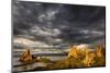 Sunset light on tufa formation, Mono Lake, Tufa State Natural Reserve, California-Adam Jones-Mounted Photographic Print