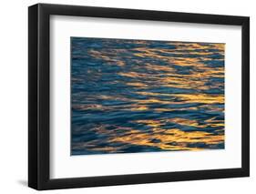 Sunset light on waters off Santa Cruz Island, Galapagos Islands, Ecuador.-Adam Jones-Framed Photographic Print