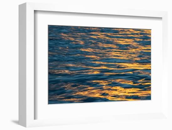Sunset light on waters off Santa Cruz Island, Galapagos Islands, Ecuador.-Adam Jones-Framed Photographic Print
