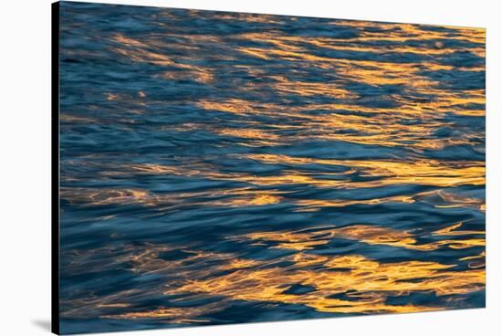 Sunset light on waters off Santa Cruz Island, Galapagos Islands, Ecuador.-Adam Jones-Stretched Canvas