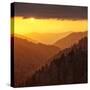 Sunset Light Reflected by Clouds Fills Valley with Warm Light-Ann Collins-Stretched Canvas