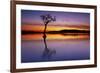 Sunset, lone tree in Milarrochy Bay, Loch Lomond and the Trossachs National Park, Balmaha, Stirling-Neale Clark-Framed Photographic Print