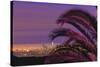 Sunset, Los Angeles skyline viewed from Hollywood Hills, Southern California, USA-Stuart Westmorland-Stretched Canvas