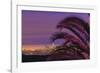 Sunset, Los Angeles skyline viewed from Hollywood Hills, Southern California, USA-Stuart Westmorland-Framed Photographic Print