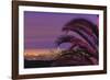 Sunset, Los Angeles skyline viewed from Hollywood Hills, Southern California, USA-Stuart Westmorland-Framed Photographic Print