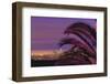 Sunset, Los Angeles skyline viewed from Hollywood Hills, Southern California, USA-Stuart Westmorland-Framed Premium Photographic Print