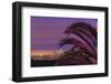 Sunset, Los Angeles skyline viewed from Hollywood Hills, Southern California, USA-Stuart Westmorland-Framed Premium Photographic Print