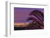 Sunset, Los Angeles skyline viewed from Hollywood Hills, Southern California, USA-Stuart Westmorland-Framed Premium Photographic Print