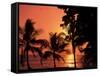 Sunset, Malpais, Nicoya Peninsula, Costa Rica-Stuart Westmoreland-Framed Stretched Canvas