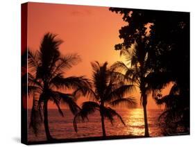 Sunset, Malpais, Nicoya Peninsula, Costa Rica-Stuart Westmoreland-Stretched Canvas