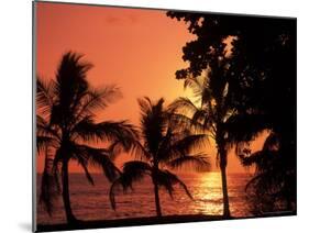 Sunset, Malpais, Nicoya Peninsula, Costa Rica-Stuart Westmoreland-Mounted Photographic Print