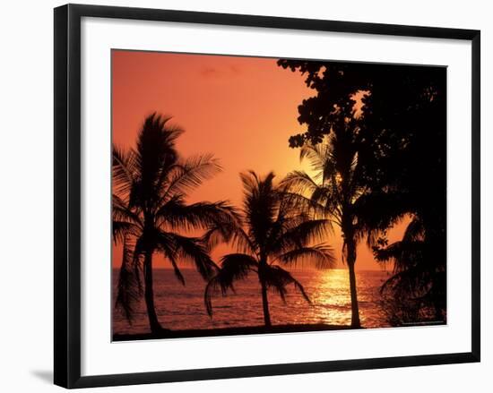 Sunset, Malpais, Nicoya Peninsula, Costa Rica-Stuart Westmoreland-Framed Photographic Print