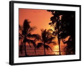 Sunset, Malpais, Nicoya Peninsula, Costa Rica-Stuart Westmoreland-Framed Photographic Print