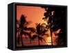 Sunset, Malpais, Nicoya Peninsula, Costa Rica-Stuart Westmoreland-Framed Stretched Canvas