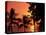 Sunset, Malpais, Nicoya Peninsula, Costa Rica-Stuart Westmoreland-Stretched Canvas