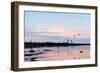 Sunset March Black Ducks-Wilhelm Goebel-Framed Premium Giclee Print