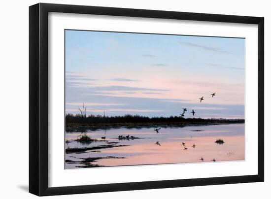 Sunset March Black Ducks-Wilhelm Goebel-Framed Premium Giclee Print