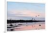 Sunset March Black Ducks-Wilhelm Goebel-Framed Giclee Print