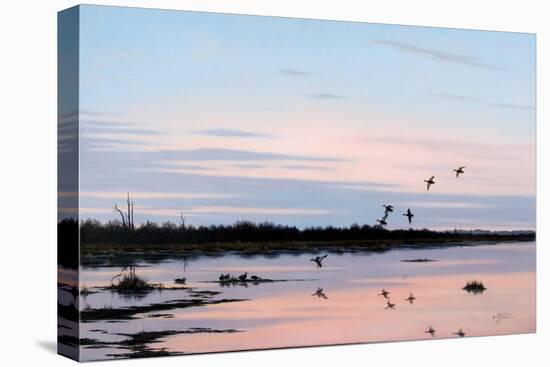 Sunset March Black Ducks-Wilhelm Goebel-Stretched Canvas