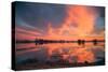 Sunset Marsh Reflections at Merced Wildlife Refuge, Central California-Vincent James-Stretched Canvas