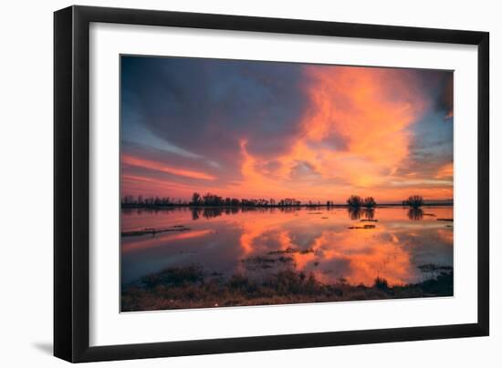 Sunset Marsh Reflections at Merced Wildlife Refuge, Central California-Vincent James-Framed Photographic Print