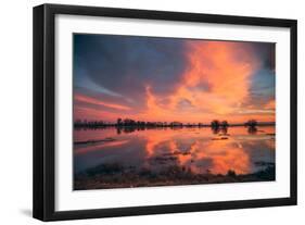 Sunset Marsh Reflections at Merced Wildlife Refuge, Central California-Vincent James-Framed Photographic Print