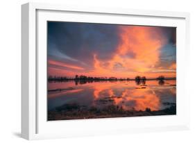 Sunset Marsh Reflections at Merced Wildlife Refuge, Central California-Vincent James-Framed Photographic Print
