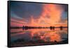 Sunset Marsh Reflections at Merced Wildlife Refuge, Central California-Vincent James-Framed Stretched Canvas