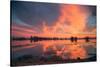 Sunset Marsh Reflections at Merced Wildlife Refuge, Central California-Vincent James-Stretched Canvas