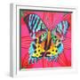 Sunset Moth, 2014-Jane Tattersfield-Framed Giclee Print