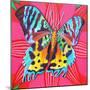 Sunset Moth, 2014-Jane Tattersfield-Mounted Giclee Print