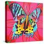 Sunset Moth, 2014-Jane Tattersfield-Stretched Canvas