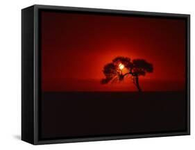 Sunset, Mundi Mundi Plains, New South Wales, Australia, Pacific-Mawson Mark-Framed Stretched Canvas