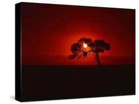 Sunset, Mundi Mundi Plains, New South Wales, Australia, Pacific-Mawson Mark-Stretched Canvas