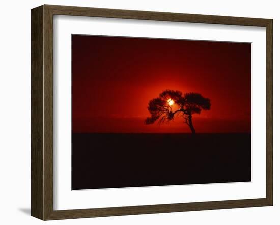 Sunset, Mundi Mundi Plains, New South Wales, Australia, Pacific-Mawson Mark-Framed Photographic Print