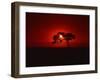 Sunset, Mundi Mundi Plains, New South Wales, Australia, Pacific-Mawson Mark-Framed Photographic Print