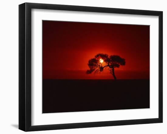 Sunset, Mundi Mundi Plains, New South Wales, Australia, Pacific-Mawson Mark-Framed Photographic Print