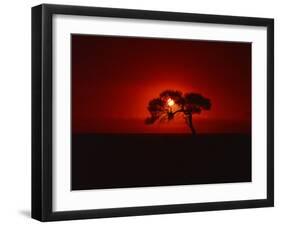 Sunset, Mundi Mundi Plains, New South Wales, Australia, Pacific-Mawson Mark-Framed Photographic Print