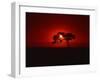 Sunset, Mundi Mundi Plains, New South Wales, Australia, Pacific-Mawson Mark-Framed Photographic Print