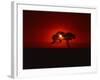 Sunset, Mundi Mundi Plains, New South Wales, Australia, Pacific-Mawson Mark-Framed Photographic Print