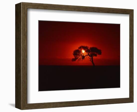 Sunset, Mundi Mundi Plains, New South Wales, Australia, Pacific-Mawson Mark-Framed Photographic Print