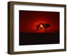 Sunset, Mundi Mundi Plains, New South Wales, Australia, Pacific-Mawson Mark-Framed Photographic Print