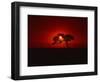 Sunset, Mundi Mundi Plains, New South Wales, Australia, Pacific-Mawson Mark-Framed Photographic Print