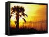 Sunset near Folley Beach, Charleston, South Carolina, USA-Julie Eggers-Framed Stretched Canvas