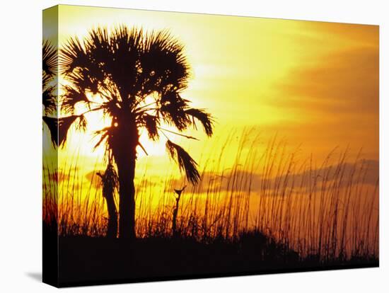Sunset near Folley Beach, Charleston, South Carolina, USA-Julie Eggers-Stretched Canvas