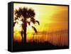 Sunset near Folley Beach, Charleston, South Carolina, USA-Julie Eggers-Framed Stretched Canvas